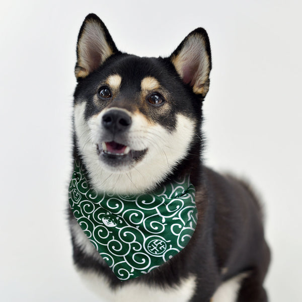 Shiba Inu Karakusa Dog Bandana Large