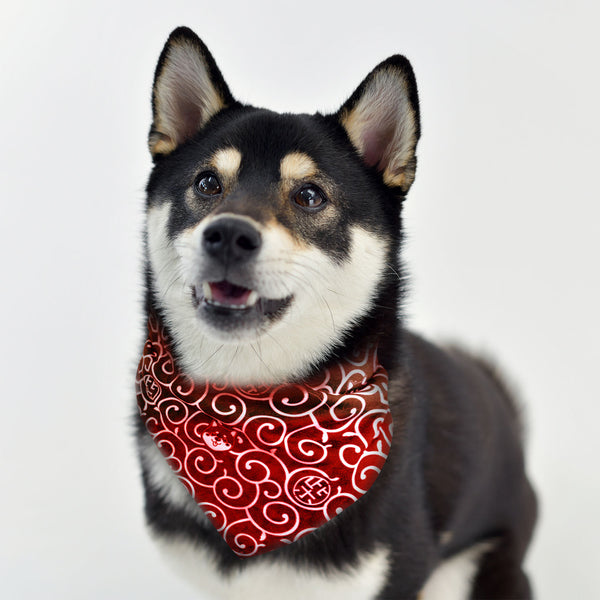 Shiba Inu Karakusa Dog Bandana Large