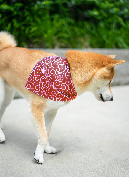 Shiba Inu Karakusa Dog Bandana Large