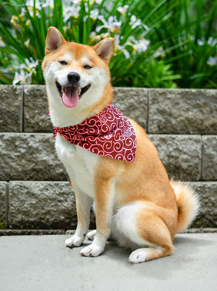 Shiba Inu Karakusa Dog Bandana Large