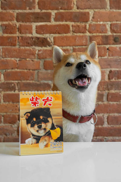 Shiba Inu Wall Calendar 2026 and Desktop Calendar 2026