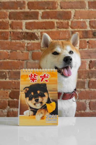 Shiba Inu Desktop Calendar 2026