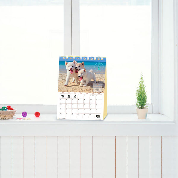 Shiba Inu Wall Calendar 2026 and Desktop Calendar 2026