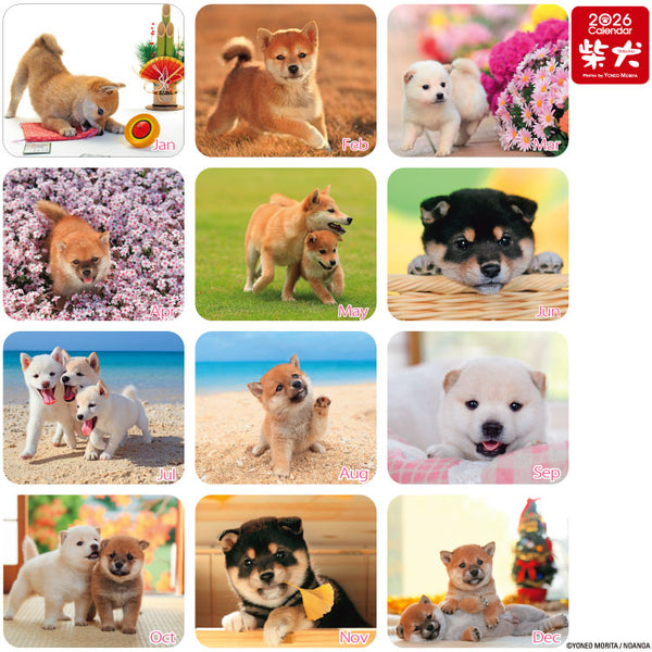 Shiba Inu Wall Calendar 2026 and Desktop Calendar 2026