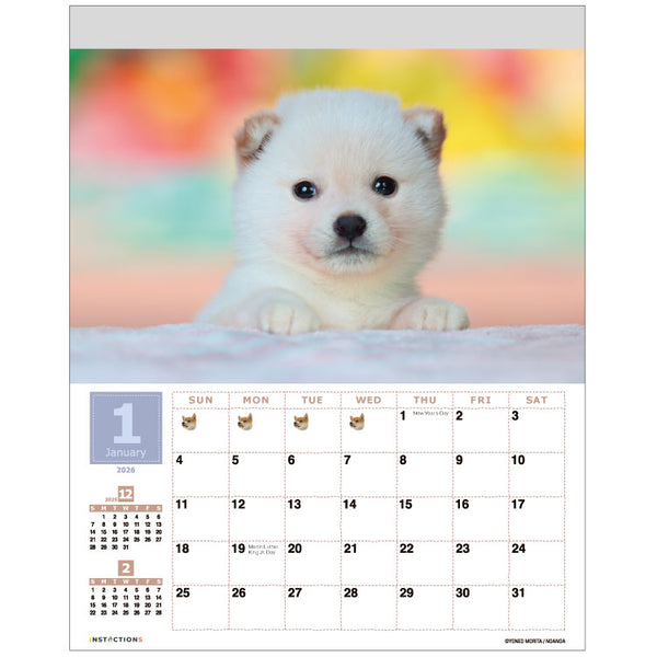 Shiba Inu Wall Calendar 2026 and Desktop Calendar 2026