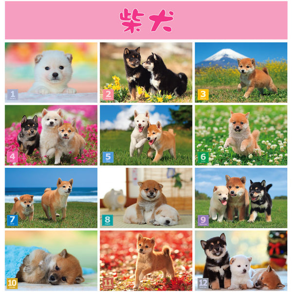 Shiba Inu Wall Calendar 2026 and Desktop Calendar 2026