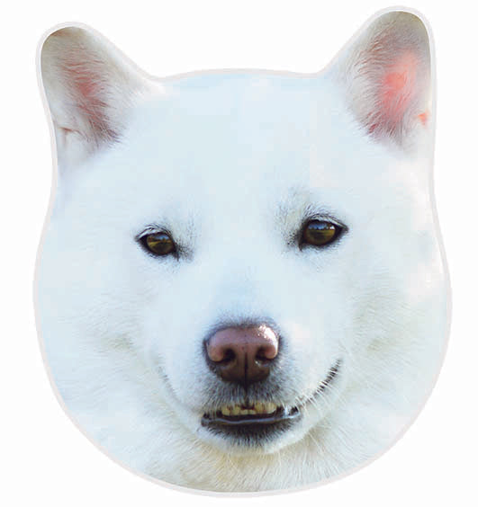 HOKKAIDO INU  Cream Shiba Inu Realistic Motif Towel