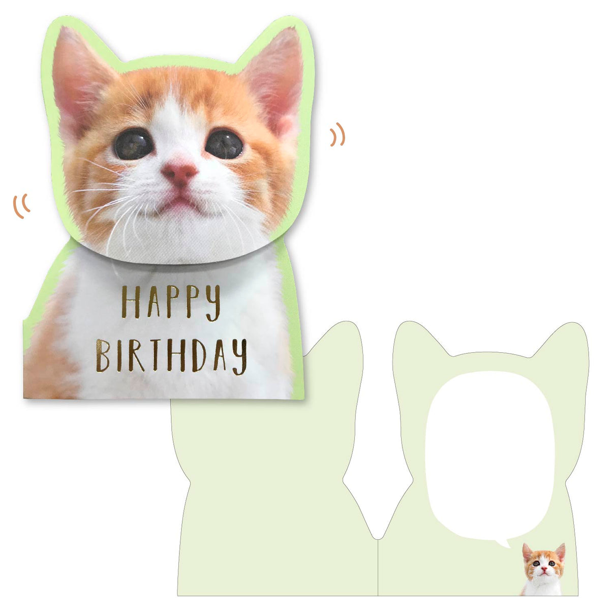 cute happy birthday cat images