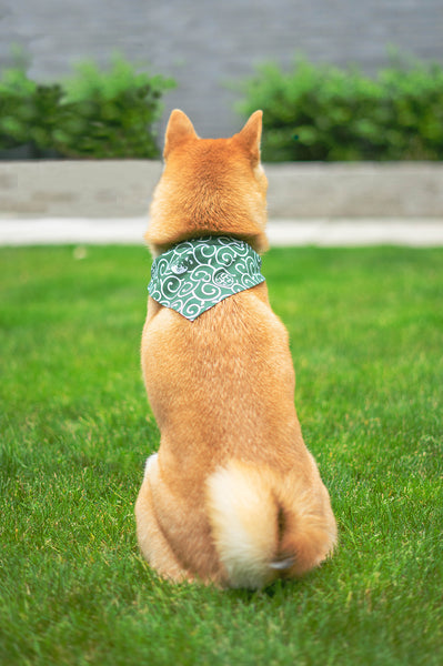 Shiba Inu Karakusa Dog Bandana Large