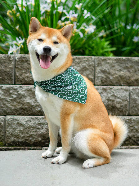 Shiba Inu Karakusa Dog Bandana Large