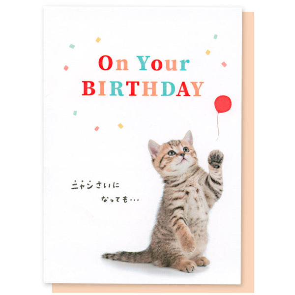 Kitty Cat Pop Up Birthday Card with Unique Message "Your Shining Smile is Meowtastic (Fantastic)!"