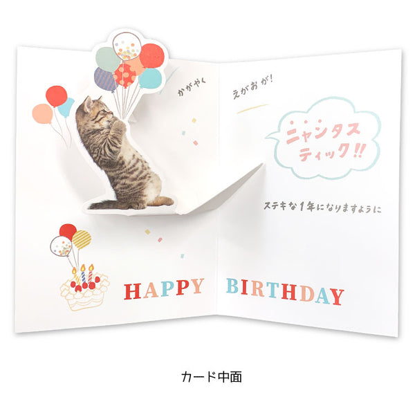 Kitty Cat Pop Up Birthday Card with Unique Message "Your Shining Smile is Meowtastic (Fantastic)!"
