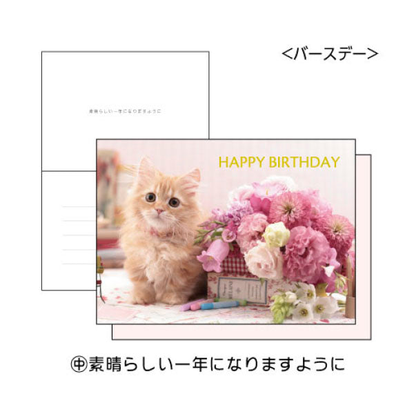 Cat Kitty Birthday Card with a Pink Envelope