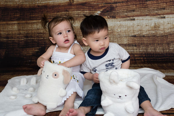 Bunny Fluffy Comfy-cozy Plush Roll Blanket in Cream White Color