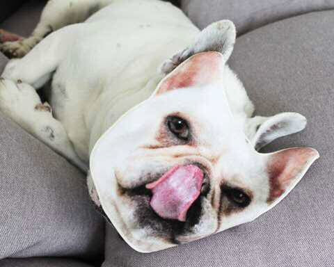 Thanks a lot message with Gift Image Realistic Motif Towel