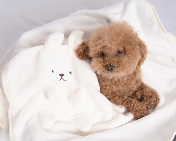 Bunny Fluffy Comfy-cozy Plush Roll Blanket in Cream White Color