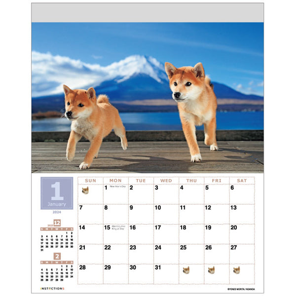 Shiba Inu Wall Calendar 2024 and Desktop Calendar 2024