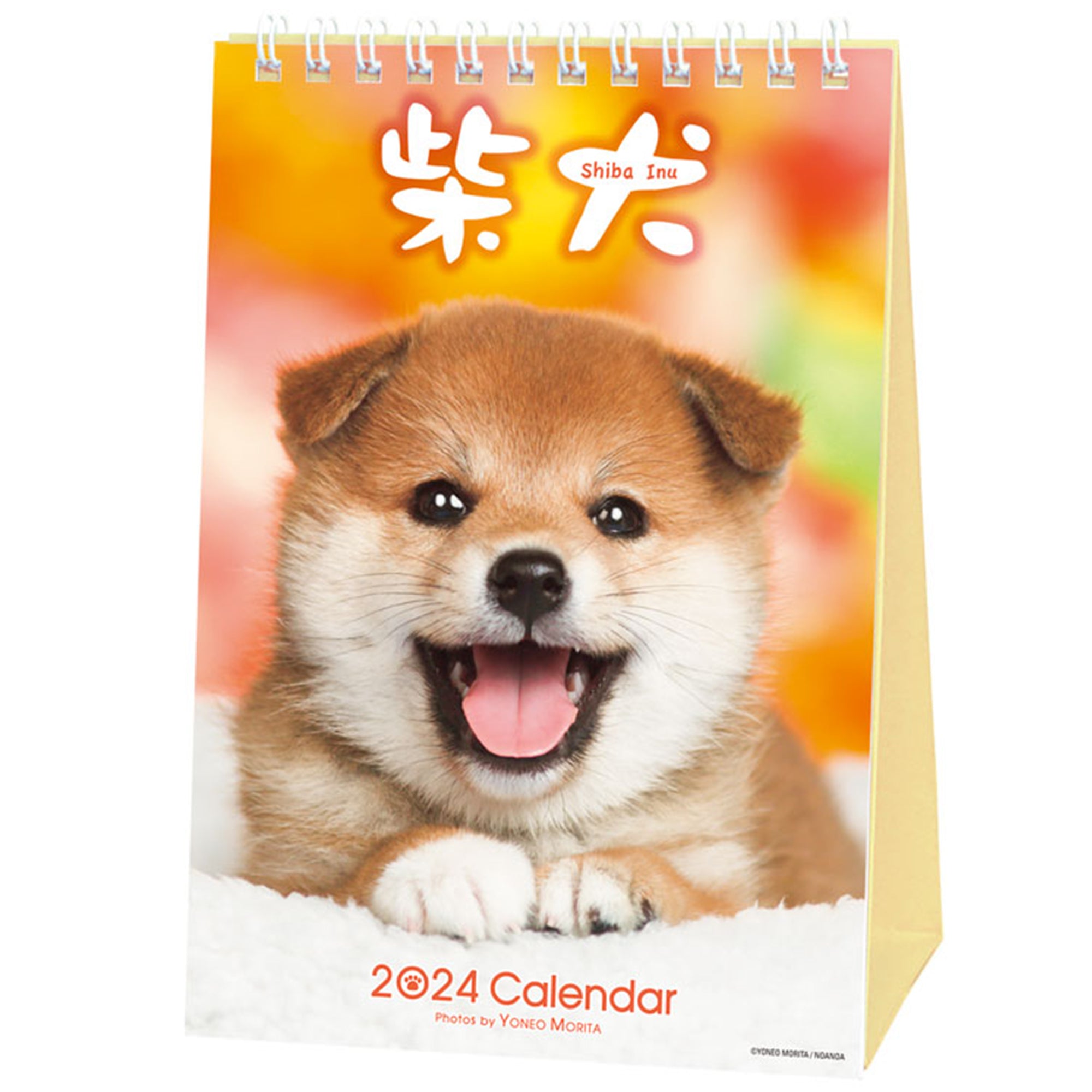 Shiba Inu Desktop Calendar 2024