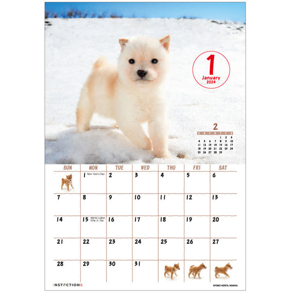 Shiba Inu Wall Calendar 2024 and Desktop Calendar 2024