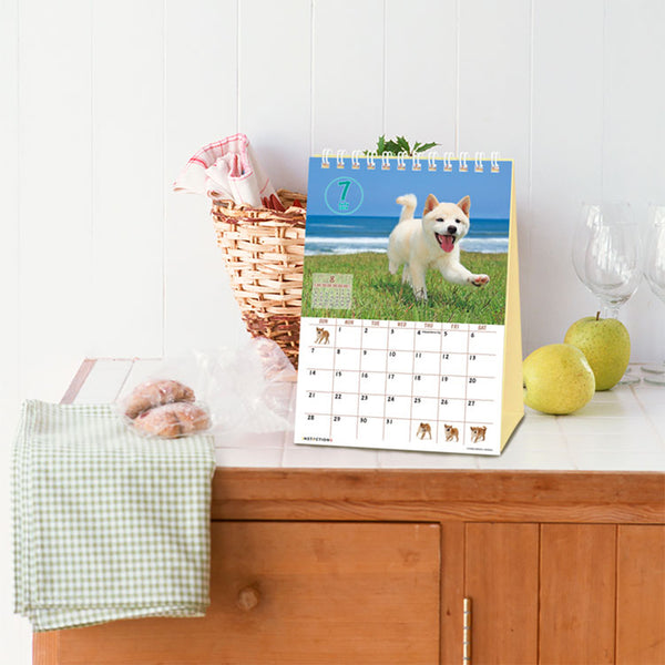 Shiba Inu Wall Calendar 2024 and Desktop Calendar 2024