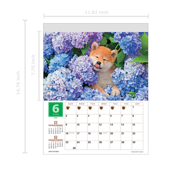 Shiba Inu Wall Calendar 2024 and Desktop Calendar 2024