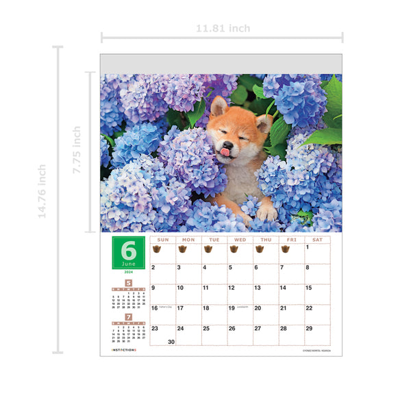 Shiba Inu Wall Calendar 2024