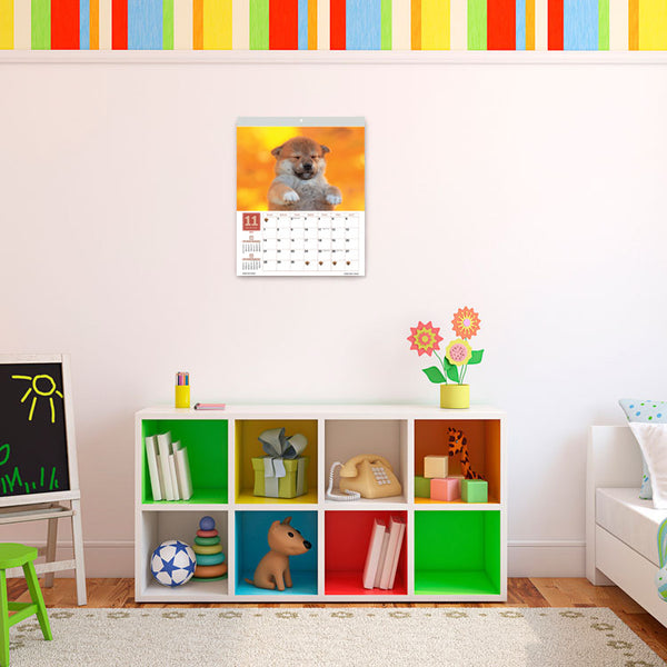 Shiba Inu Wall Calendar 2027