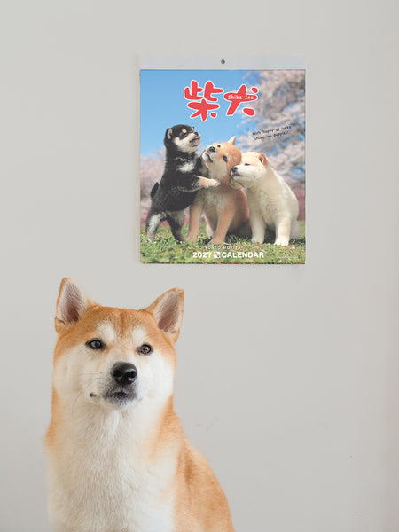 Shiba Inu Wall Calendar 2027