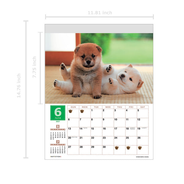 Shiba Inu Wall Calendar 2027