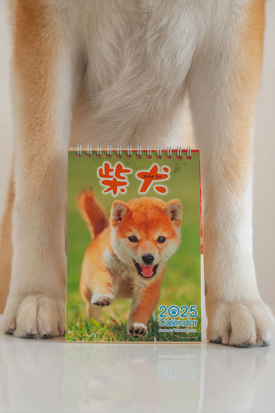 Shiba Inu Desktop Calendar 2025