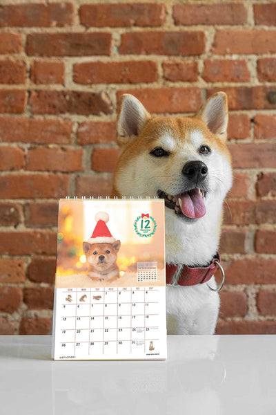 Shiba Inu Desktop Calendar 2027
