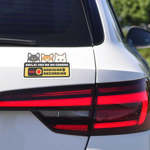 Shiba Inu Dashcam Sticker