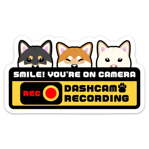 Shiba Inu Dashcam Sticker