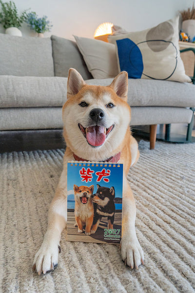 Shiba Inu Desktop Calendar 2027
