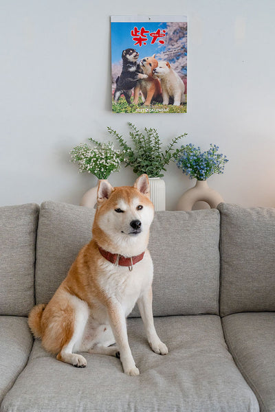 Shiba Inu Wall Calendar 2027 and Desktop Calendar 2027