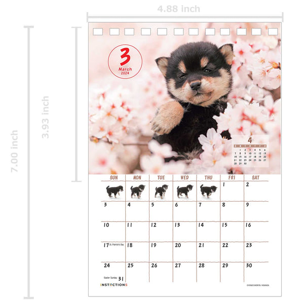 Shiba Inu Desktop Calendar 2024