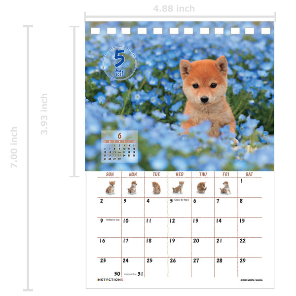 Shiba Inu Desktop Calendar 2027