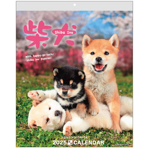 Shiba Inu Wall Calendar 2025