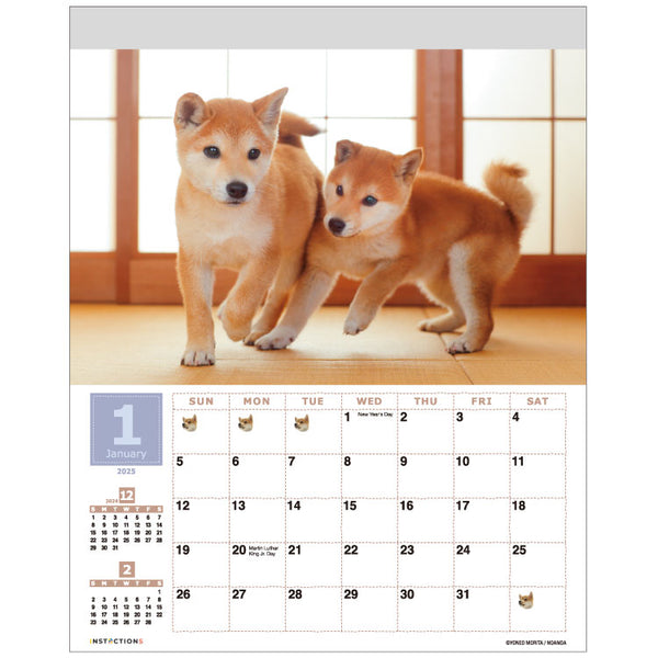 Shiba Inu Wall Calendar 2025