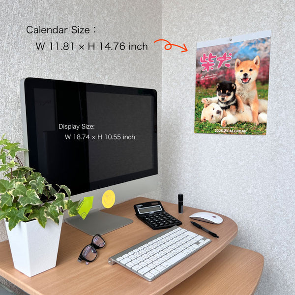 Shiba Inu Wall Calendar 2025