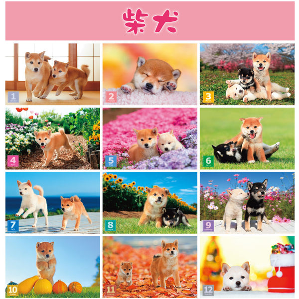 Shiba Inu Wall Calendar 2025