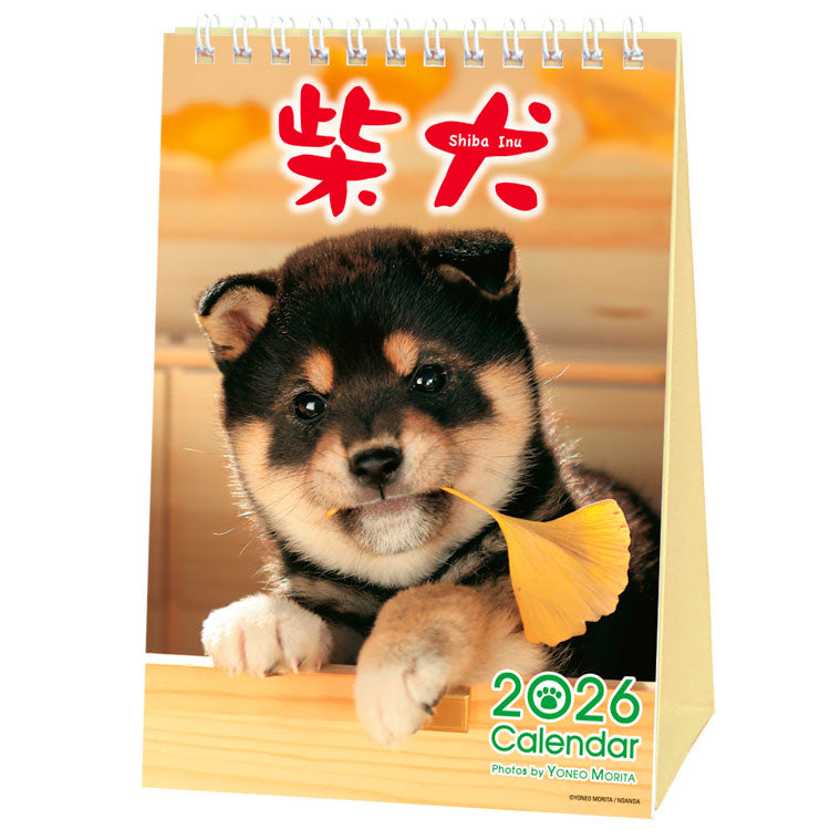 Shiba Inu Desktop Calendar 2026