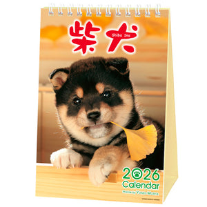 Shiba Inu Desktop Calendar 2026