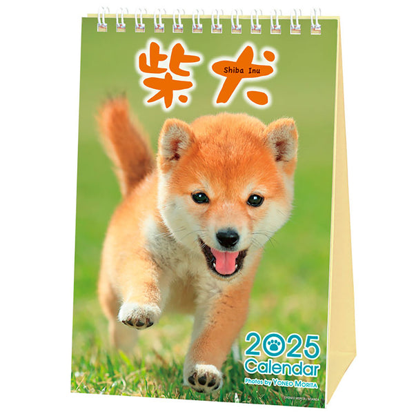 Shiba Inu Desktop Calendar 2025