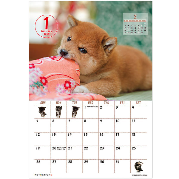 Shiba Inu Desktop Calendar 2025