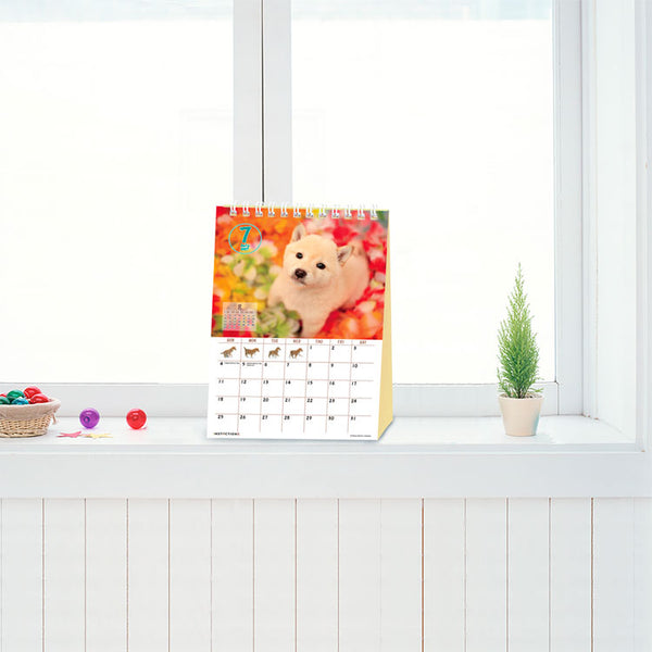 Shiba Inu Desktop Calendar 2027