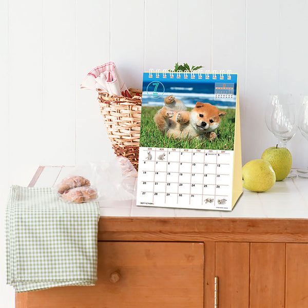 Shiba Inu Desktop Calendar 2025