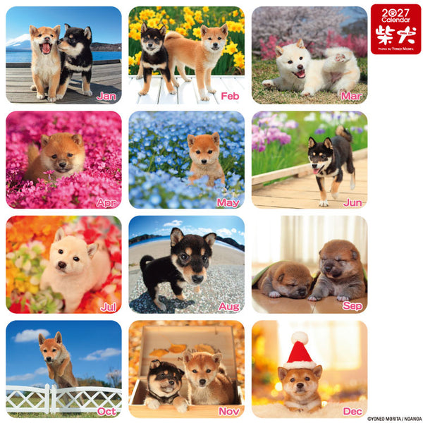 Shiba Inu Desktop Calendar 2027