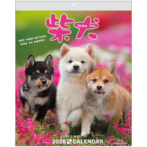 Shiba Inu Wall Calendar 2026