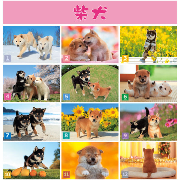 Shiba Inu Wall Calendar 2027